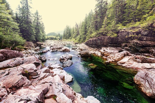 Isola di Vancouver. Canada