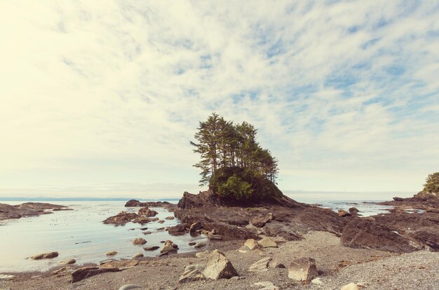 Isola di Vancouver.