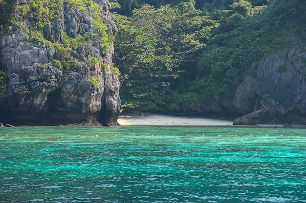 Isola famosa naturale di Phi Phi il giorno soleggiato di vacanza.