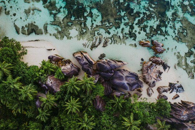 Isola "La digue" alle Seychelles. Spiaggia d'argento con pietra granitica e giungla. Vista aerea