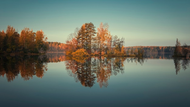 Isola nel lago della foresta durante la mattina d'autunno dorato