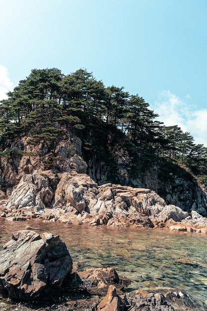 isola rocciosa con alberi di pino