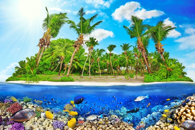 Isola tropicale all'interno dell'atollo nell'Oceano tropicale e meraviglioso e bellissimo mondo sottomarino con coralli e pesci tropicali.