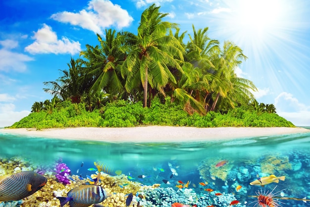 Isola tropicale all'interno di un atollo nell'Oceano tropicale e meraviglioso e bellissimo mondo sottomarino con coralli e pesci tropicali.