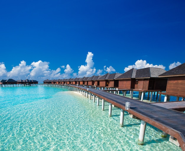 Isola tropicale delle Maldive con la spiaggia