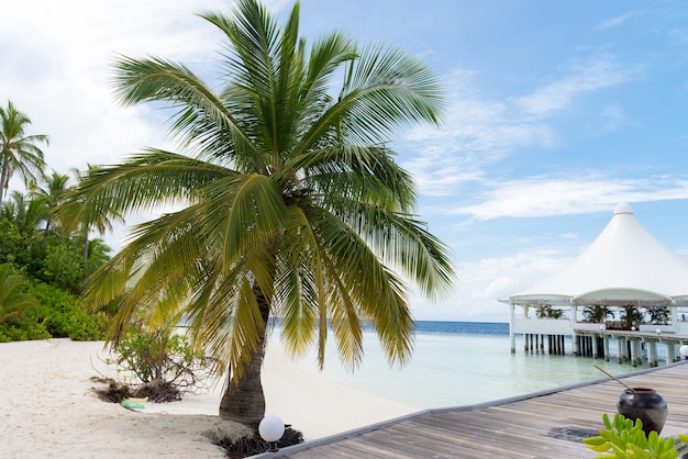 Isola tropicale delle Maldive con palme da cocco, ponte di legno e villa sull&#39;acqua. Lan esotica