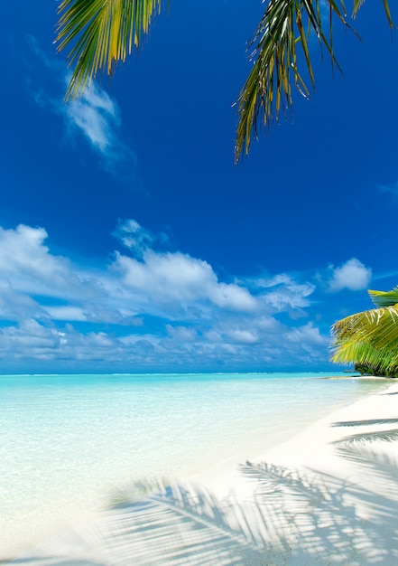 Isola tropicale delle Maldive con spiaggia di sabbia bianca e mare