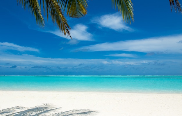 Isola tropicale delle Maldive con spiaggia di sabbia bianca e mare