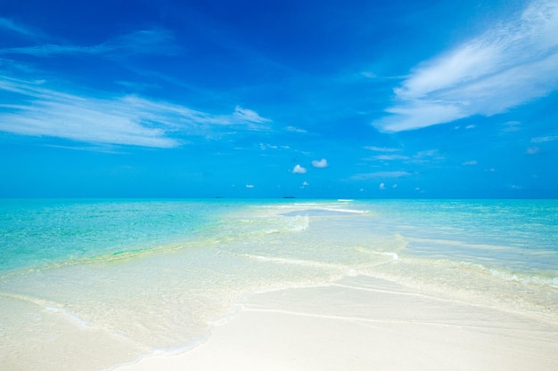 Isola tropicale delle Maldive con spiaggia di sabbia bianca e mare