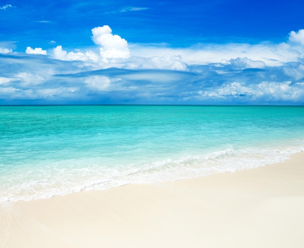 Isola tropicale delle Maldive con spiaggia di sabbia bianca e mare