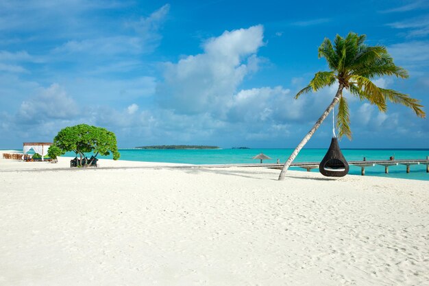 Isola tropicale delle Maldive con spiaggia di sabbia bianca e palme da mare