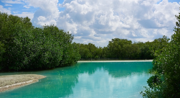 Isola tropicale di Holbox in Quintana Roo Mexico