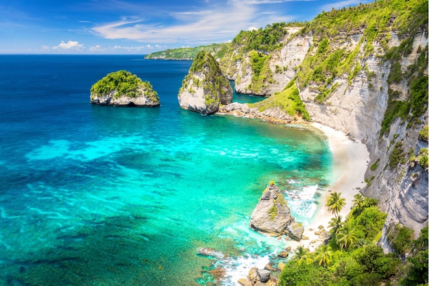 Isola tropicale paradisiaca con spiaggia sabbiosa, palme, barriera corallina e rocce nessuno Nusa Penida Indonesia