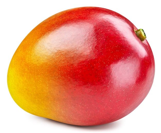 Isolated mango Fresh organic mango isolated clipping path Mango macro studio photo