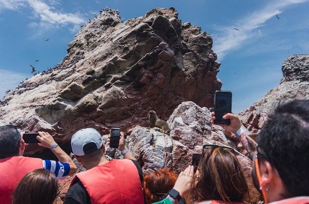 Isole Ballestas a Paracas