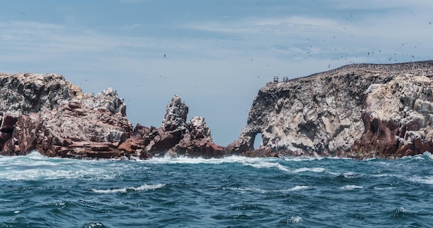 Isole Ballestas Paracas Ica Perù