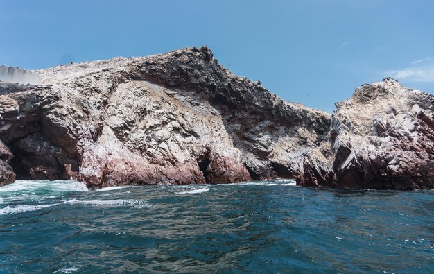 Isole Ballestas Paracas Ica Perù