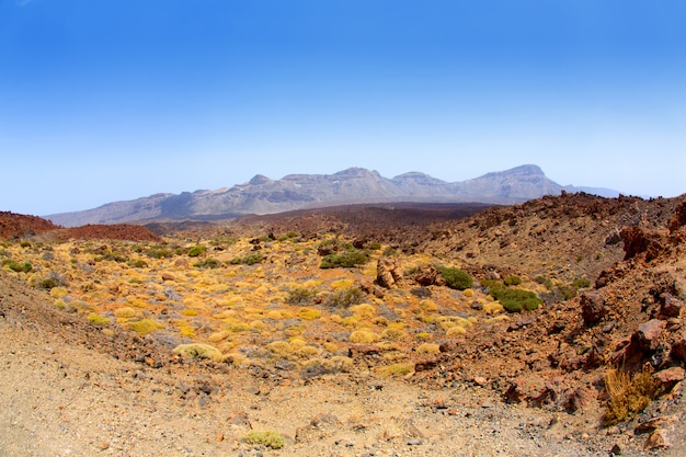 Isole Canarie nel parco nazionale del Teide di Tenerife