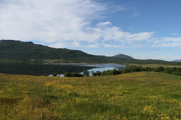 Isole di Kvaloya e Senja Norvegia