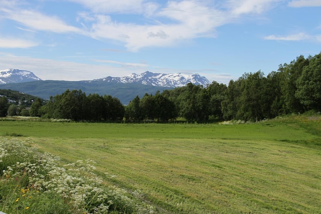 Isole di Kvaloya e Senja Norvegia