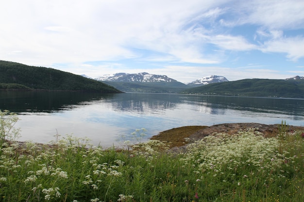 Isole di Kvaloya e Senja Norvegia