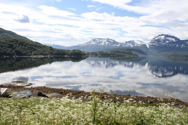 Isole di Kvaloya e Senja Norvegia