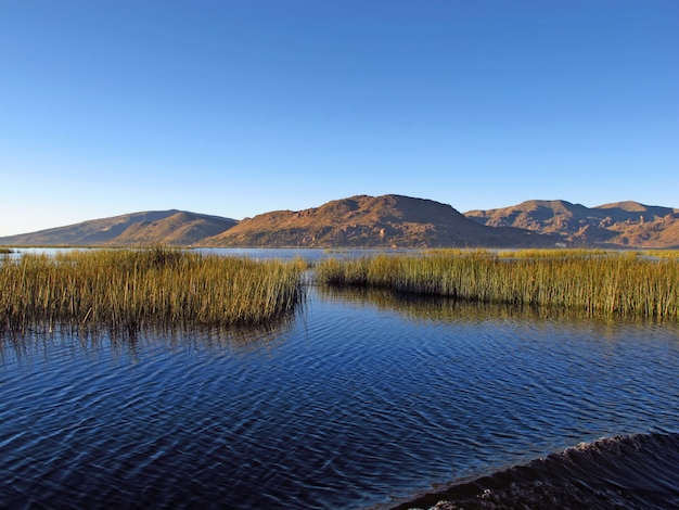 Isole galleggianti Uros sul lago Titicaca nelle Ande, in Perù e in Bolivia