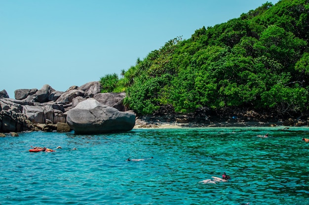 Isole tropicali di acqua d'oceano blu e spiaggia di sabbia bianca alle isole Similan con il famoso paesaggio naturale Sail Rock Phang Nga Thailandia