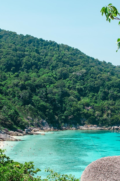 Isole tropicali di acqua d'oceano blu e spiaggia di sabbia bianca alle isole Similan con il famoso paesaggio naturale Sail Rock Phang Nga Thailandia