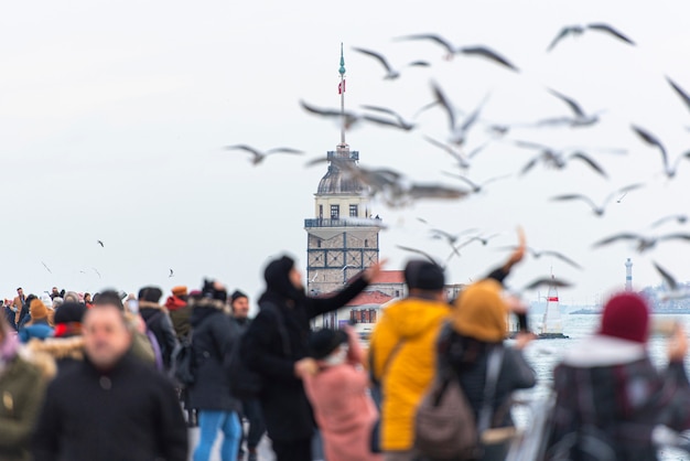 Istanbul, la gente nutre i gabbiani di fronte alla Torre della Fanciulla o Kiz Kulesi in Turchia