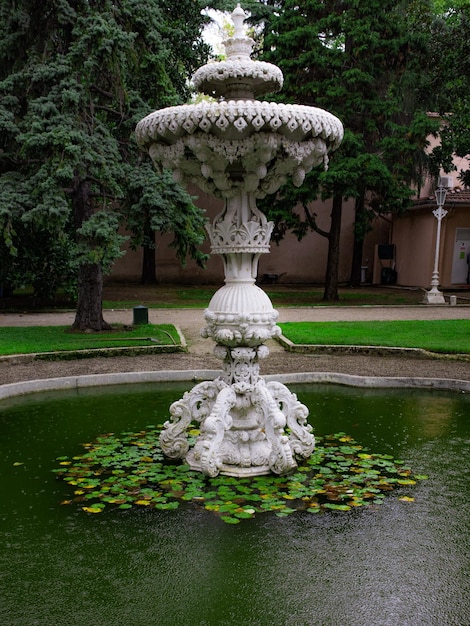 Istanbul Turchia 6 ottobre 2021 Fontana con cigni del Palazzo Dolmabahce durante la pioggia primaverile