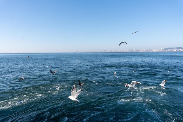 - Istanbul.