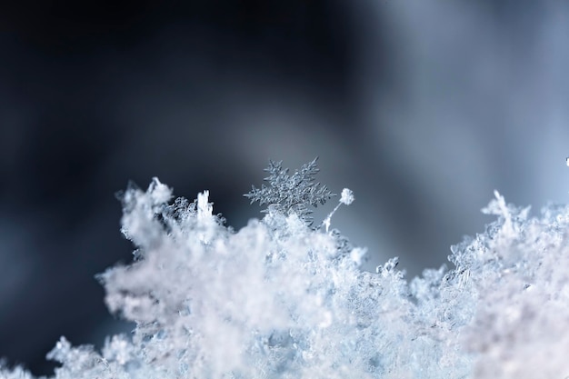 istantanea di un piccolo fiocco di neve scattata durante una nevicata