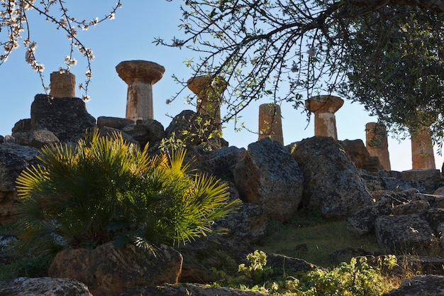 Italia Sicilia Agrigento Valle dei Templi Greci Colonne del Tempio di Ercole