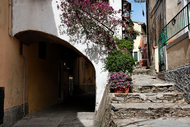 Italia Toscana Isola d'Elba Porto Azzurro una strada nella parte vecchia della città