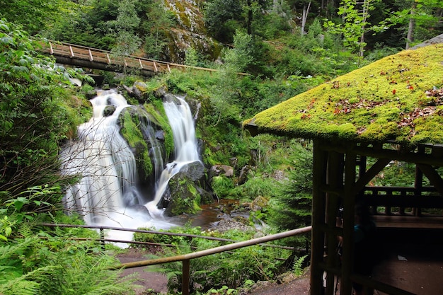 Itinerario delle cascate più alte della Germania, Baden, Triberg.