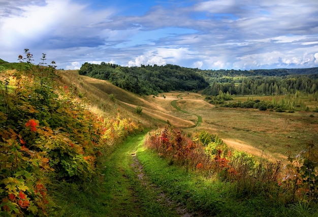 Izborskaa dolina Valle di Izborsk