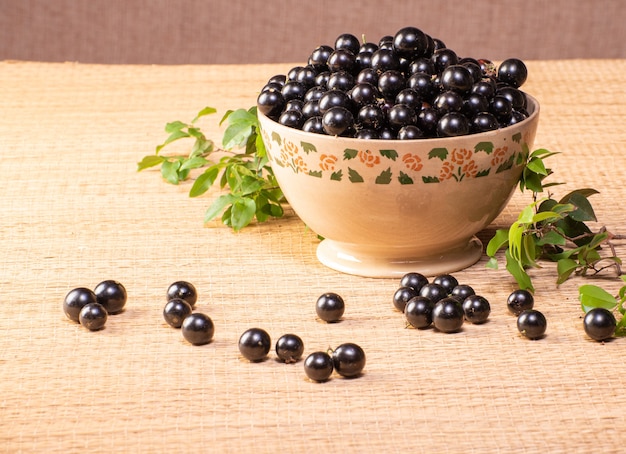 Jabuticaba, Jabuticaba appena raccolto e non ancora lavato, e rami con foglie poste in una bella ciotola di stoviglie su una stuoia di paglia, messa a fuoco selettiva.