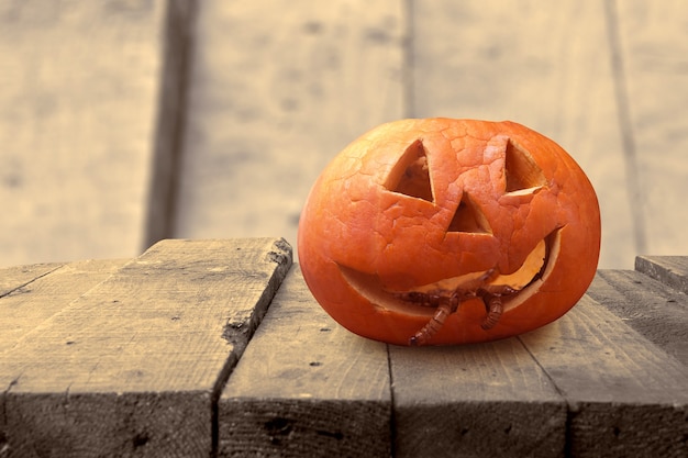 Jack-o-Lantern con vermi su tavola di legno