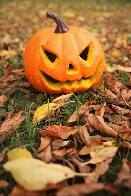 Jack'o'Lantern in giardino