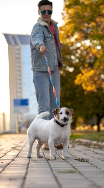 Jack Russell sta tirando il guinzaglio. La donna cammina con il cane nel parco d'autunno
