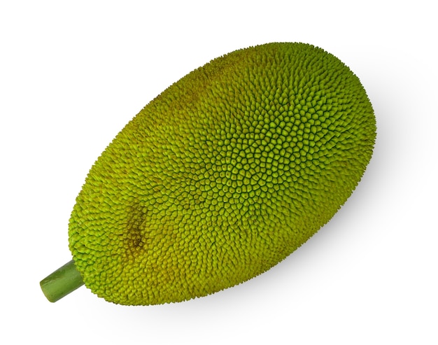 Jackfruit isolati su sfondo bianco