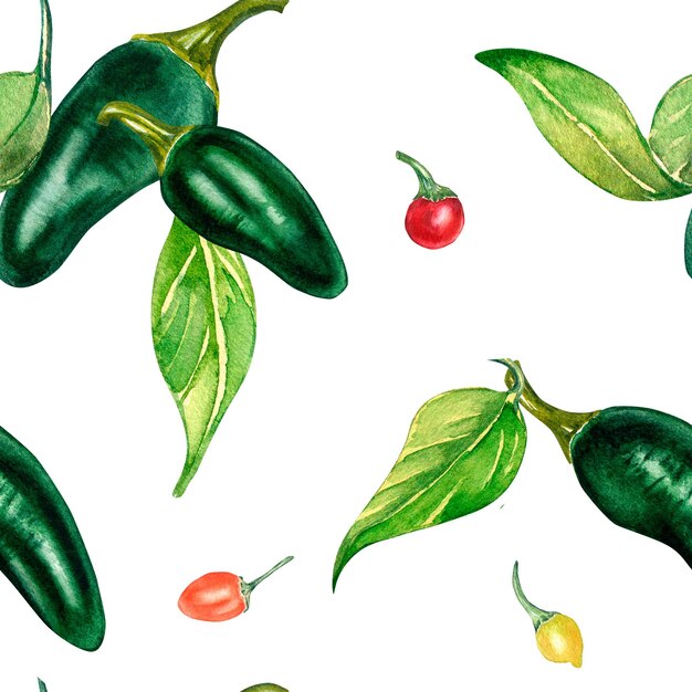 Jalapeno e peperoncini piccanti acquerello motivo senza cuciture isolato su bianco