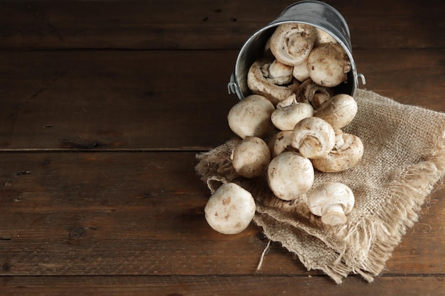 Jamur kancing Agaricus bisporus o fungo portobello o champignon o champignon