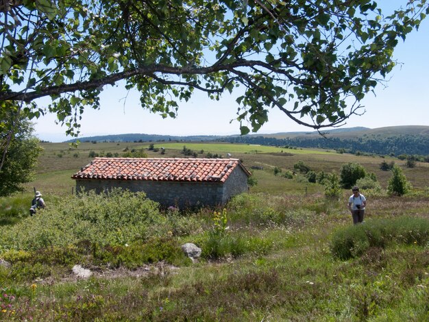 Jasseries de colliegnesauvainloirefrance