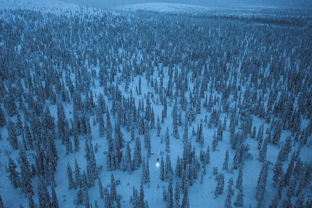 jdsBlue hour al Parco Nazionale di Riisitunturi, in Finlandia, ripresa dal drone