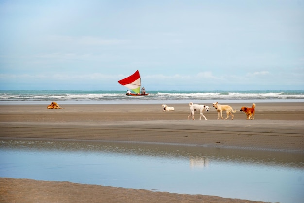 Jericoacoara è una spiaggia vergine nascosta dietro le dune della costa occidentale di Jijoca de Jericoacoara, CearÃƒÂƒÃ‚Â¡, Brasile
