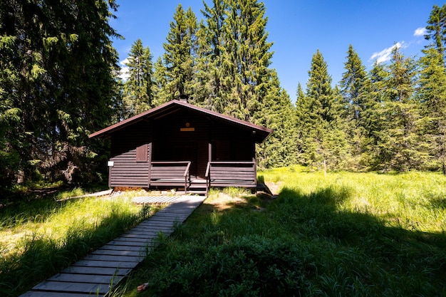 Jezerni slat Jezerni attracca in estate Parco nazionale di Sumava Repubblica Ceca Destinazione di viaggio Paesaggio della Boemia meridionale