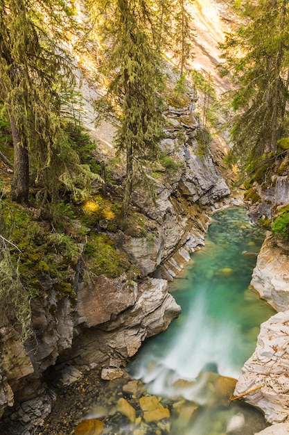 Johnston Canyon Trail Banff Alberta Canada