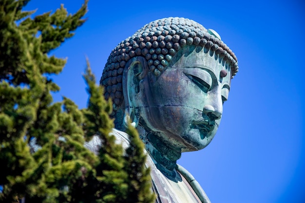 Kamakura Daibutsu con cielo blu